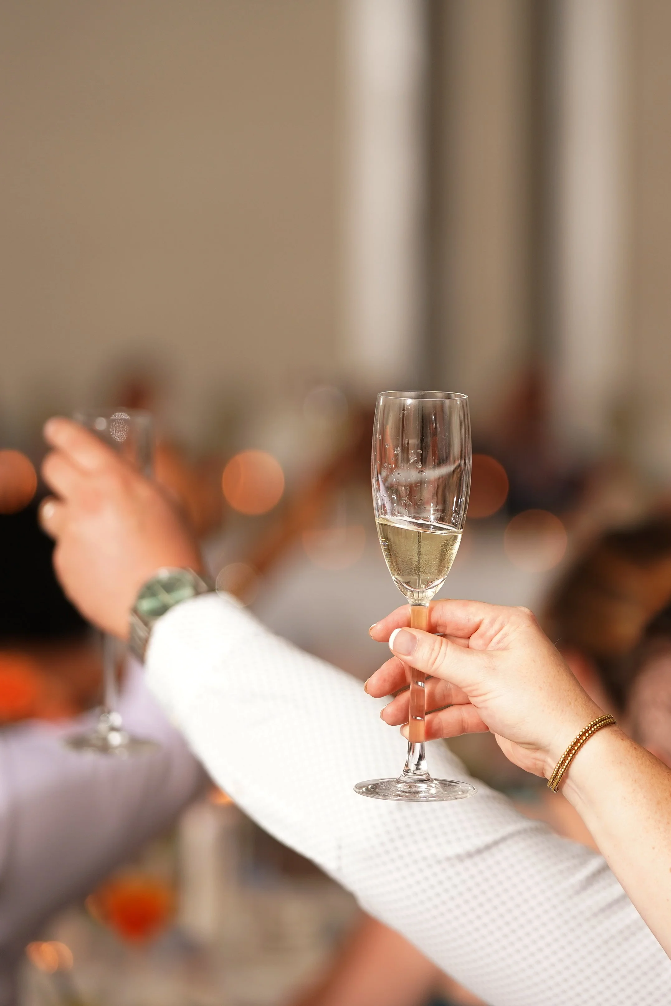 reception-speeches-champagne-toast.JPG