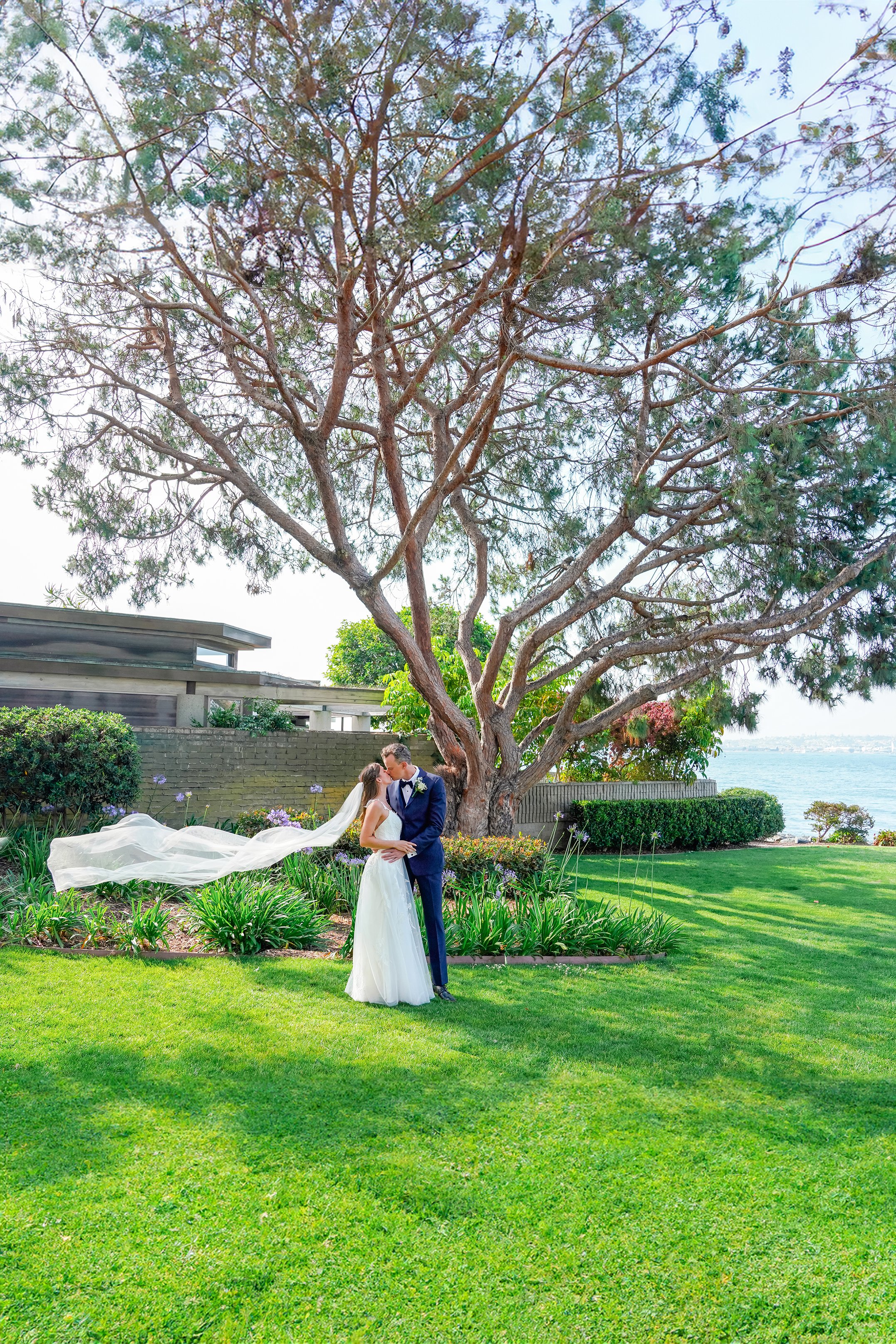 A wide, vertical portrait of a bride and groom kissing on a vibrant green lawn beneath a massive, spreading pine tree. The groom is dressed in a navy blue tuxedo, and the bride wears a sleeveless white wedding gown. Her long, sheer tulle veil blows d