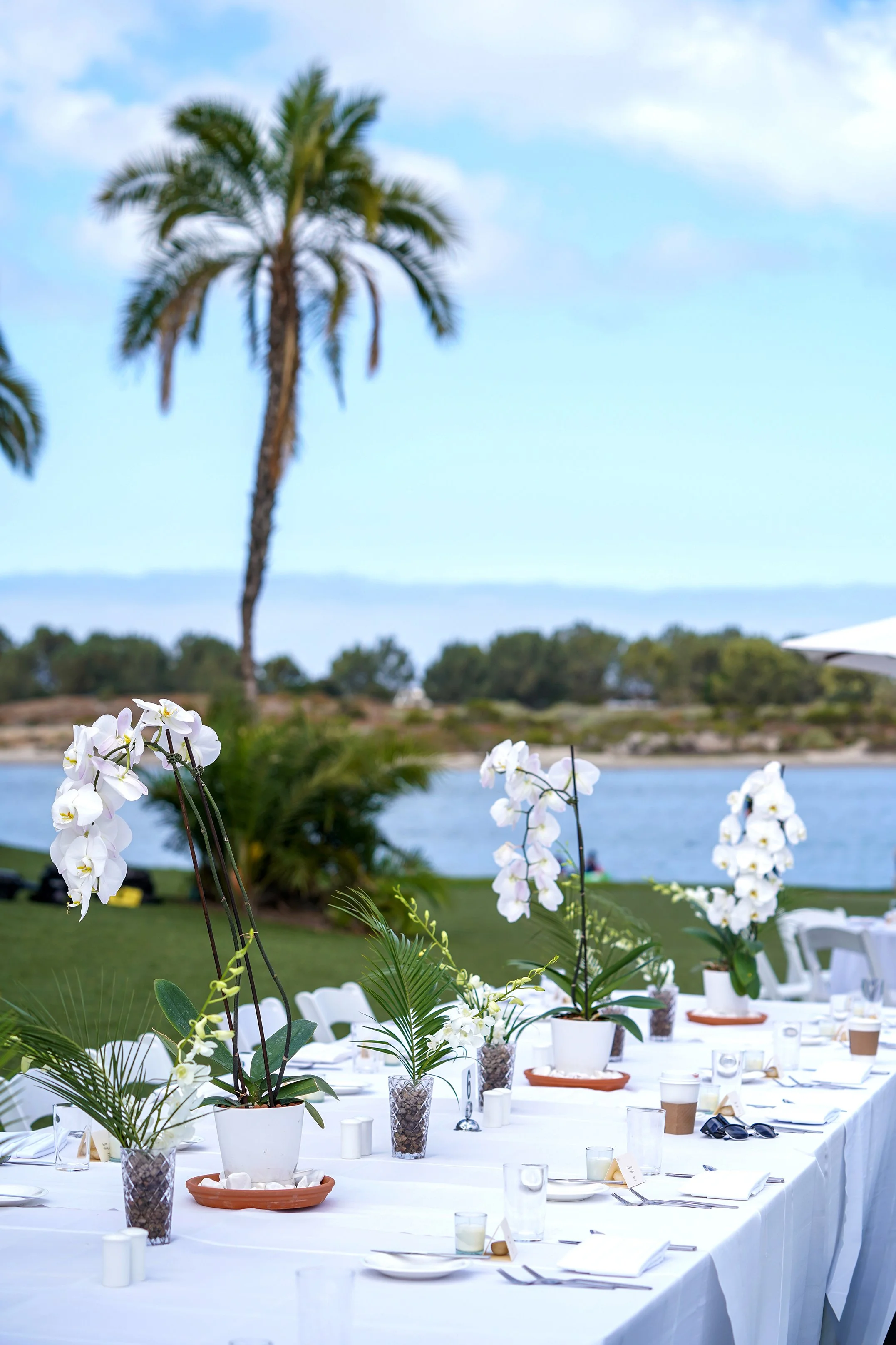 potted-white-orchid-wedding-centerpieces.jpg