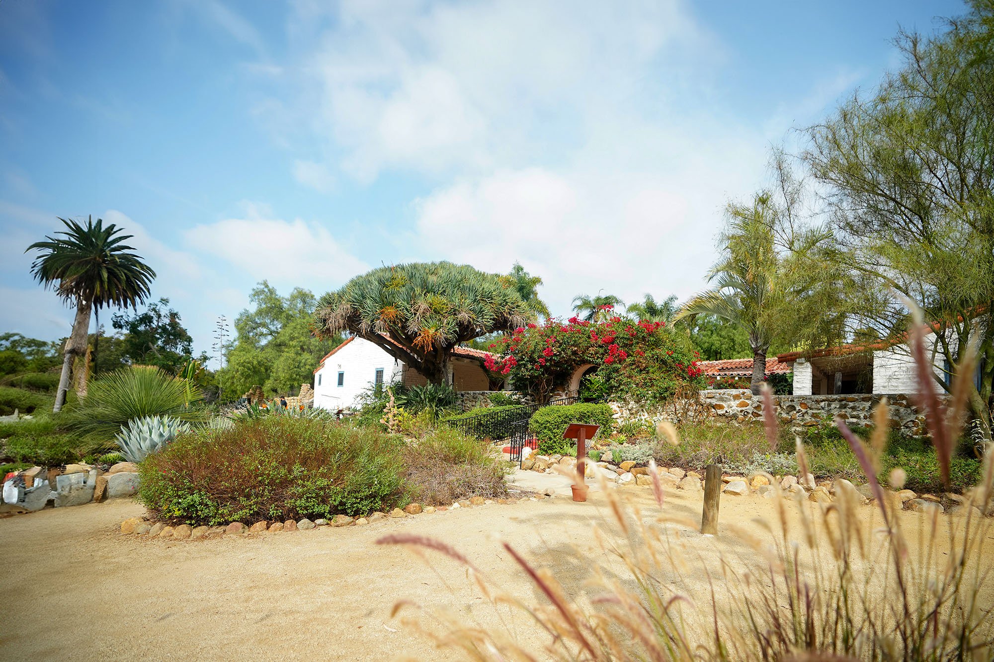 arlsbad-historic-adobe-estate-wedding-grounds.jpg
