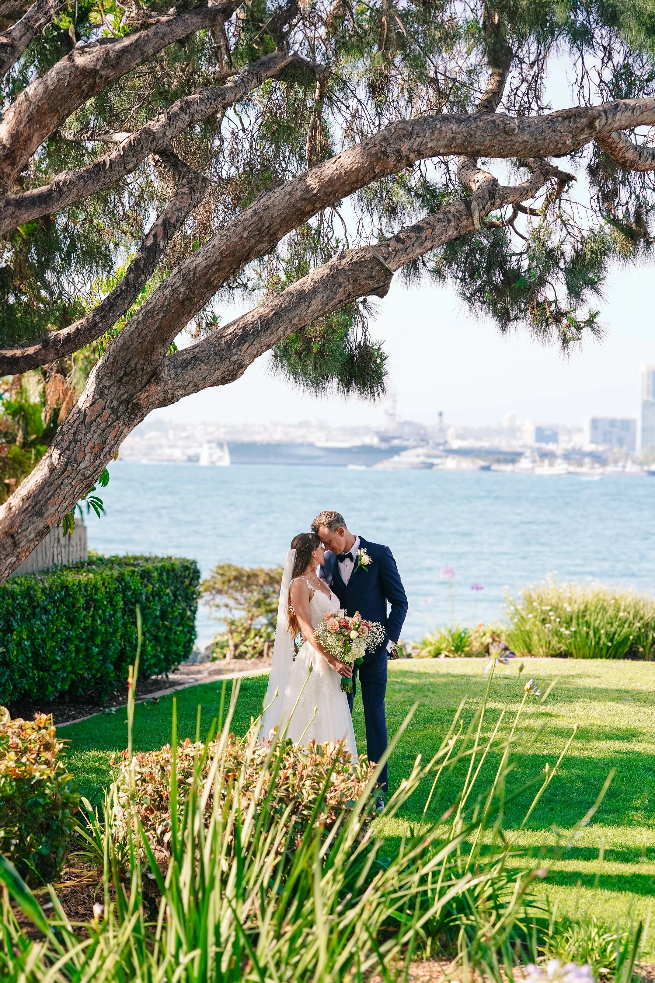 A bride and groom share a kiss outdoors near the water, with a large tree arching overhead and lush greenery, cityscape, and water in the background.