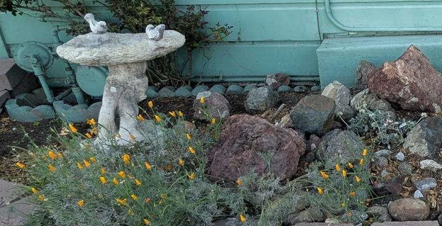 Garden scene with a birdbath, yellow flowers, rocks, and a teal wooden wall in the background.