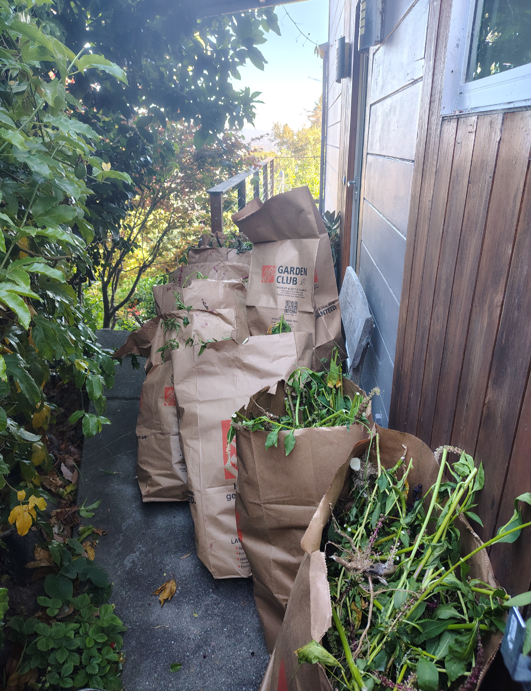 A row of yard waste bags, filled to the brim with green foliage, sits along a wall at the top of a staircase.