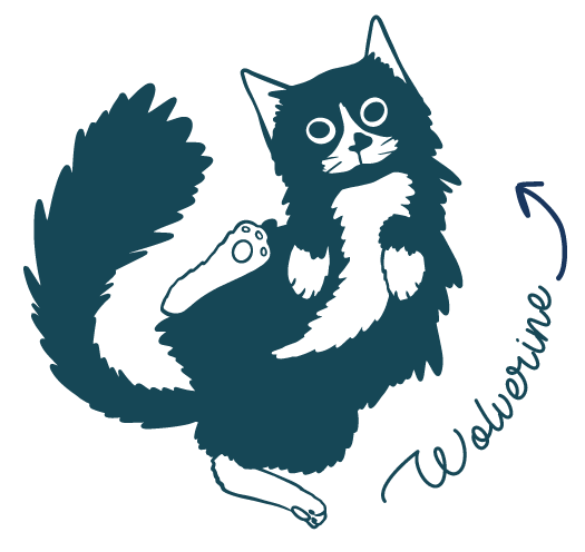A cartoon-style drawing of a happy, playful cat with large eyes, standing on its hind legs, with a tail curled upwards and an arrow pointing to the right, accompanied by the name 'Wolverine' written in cursive.