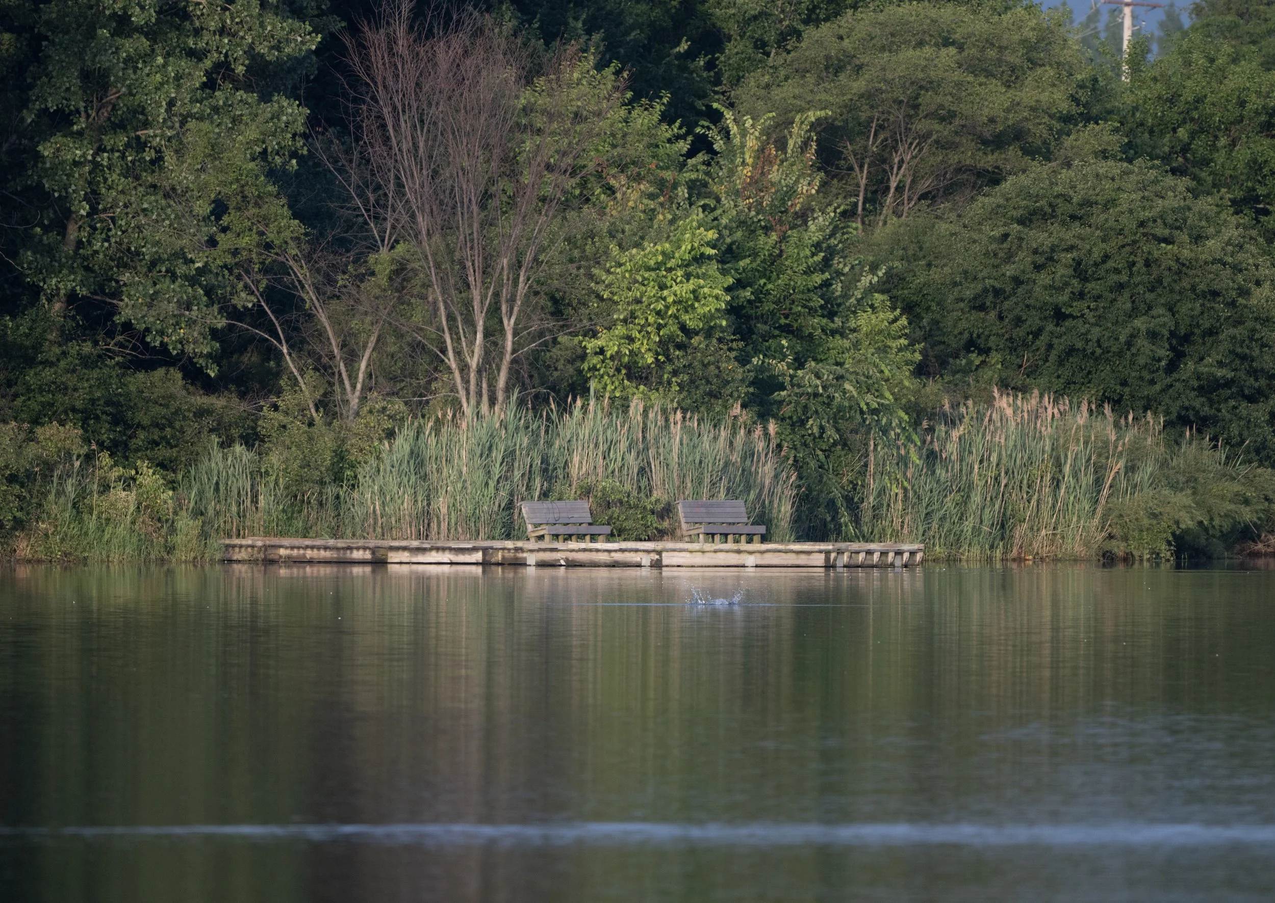 Lake Sedgwick.jpg