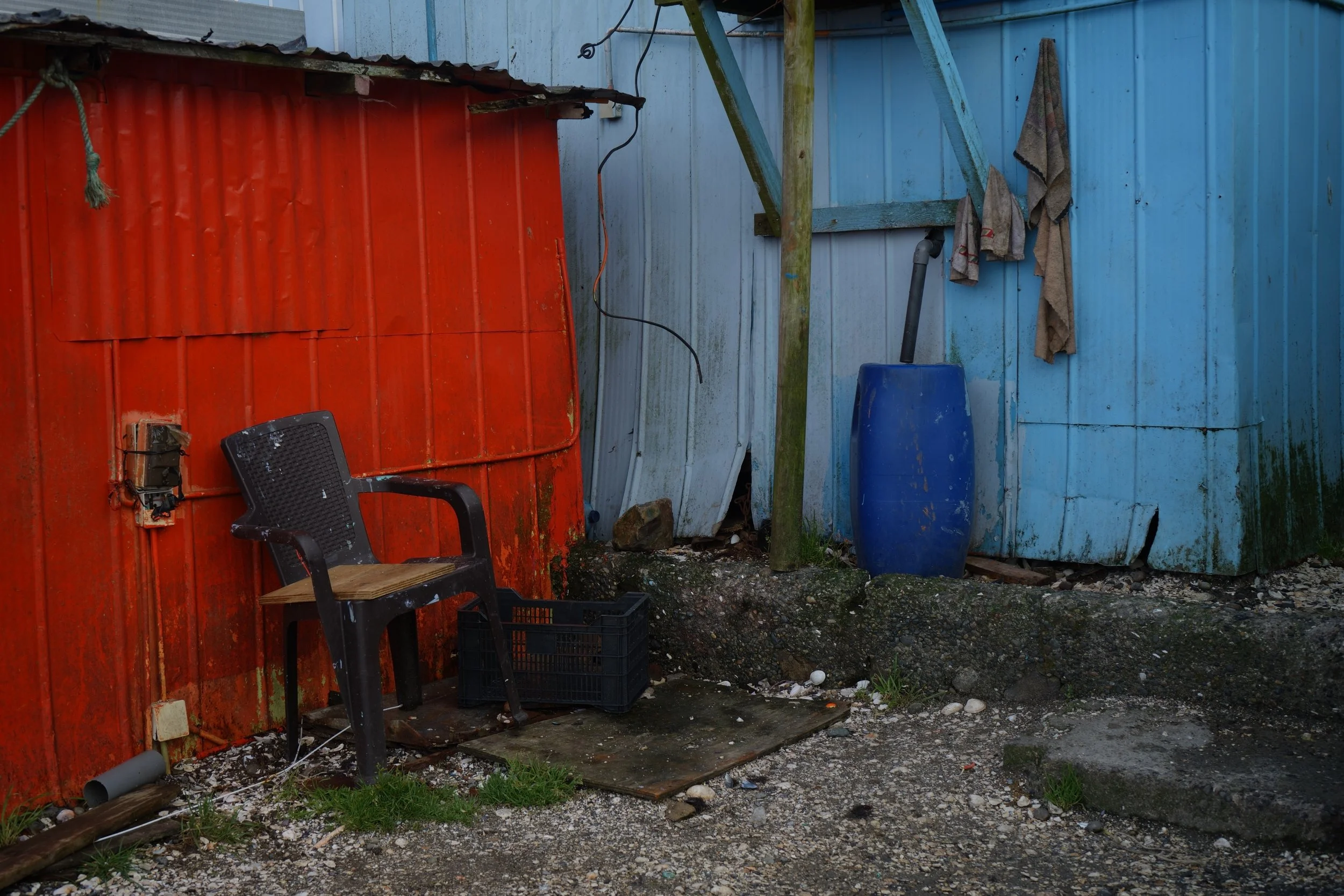 DSC07235.JPG