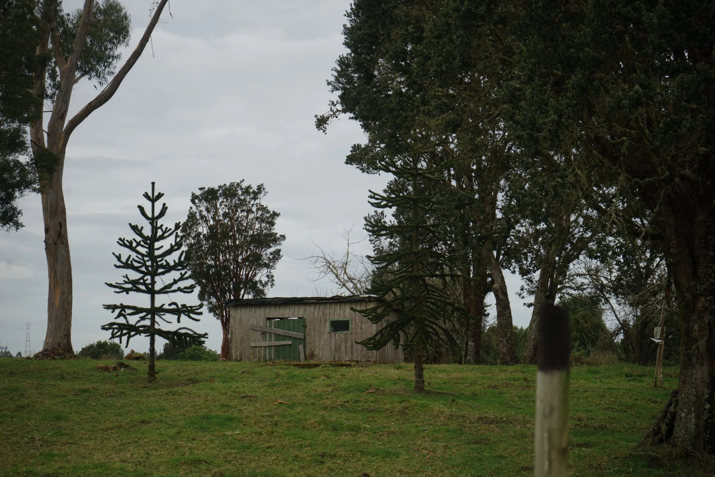 DSC07572.JPG