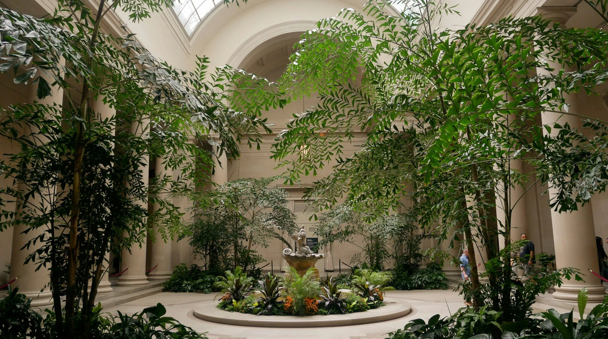 An indoor garden designed to create both a sanctuary and energy efficiency.