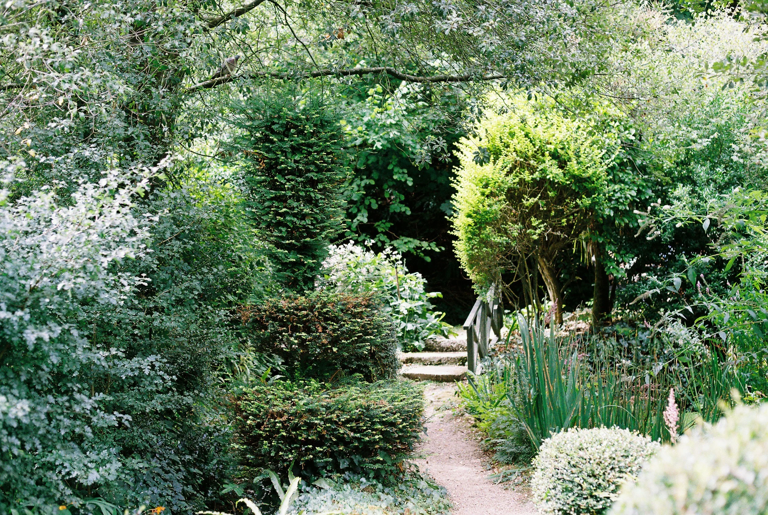 Tone texture and colour are vital to planning your garden design