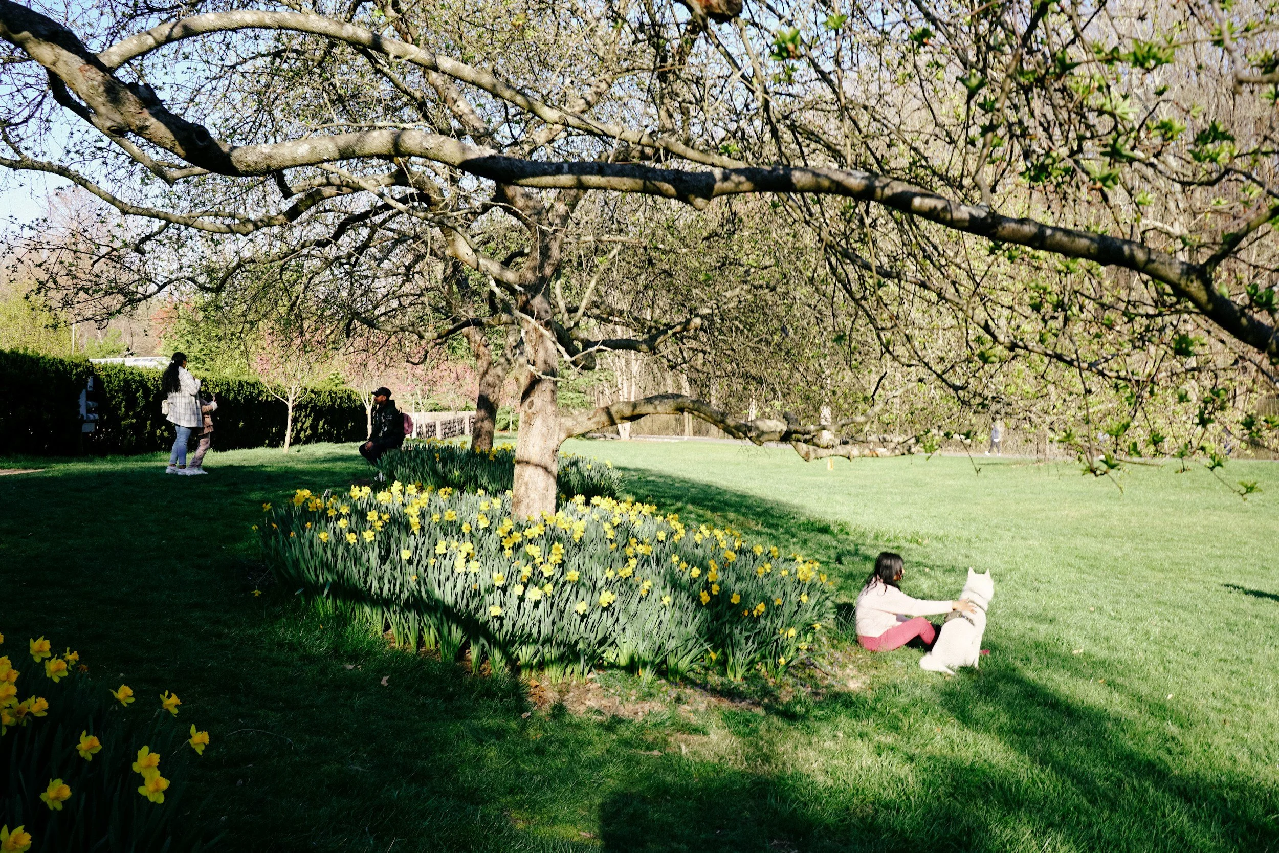 The Garden as a Living Room: How Outdoor Space Shapes the Lives Within It