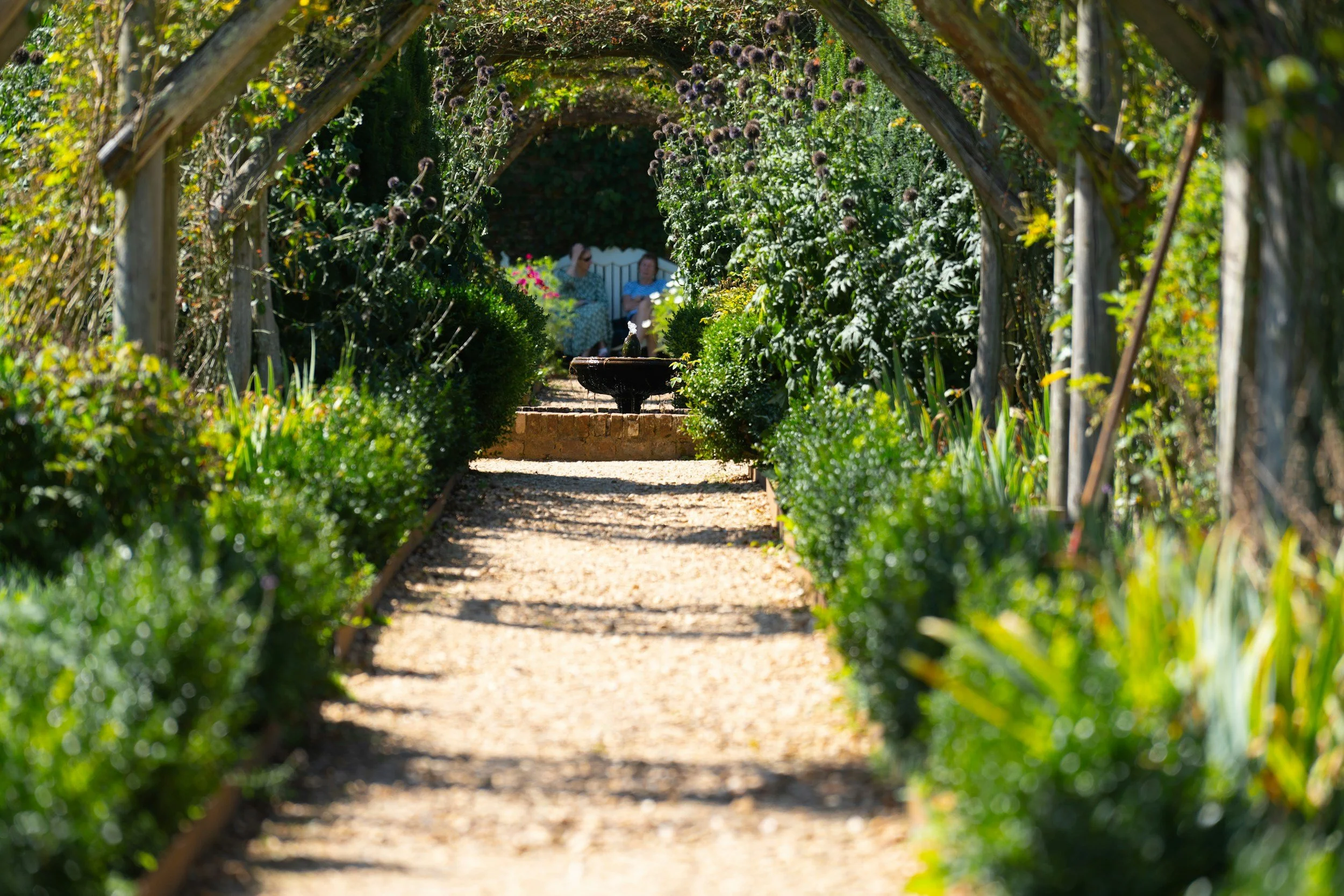 A shaded garden path and arch are the perfect way to lead your guests from one location to another with beauty