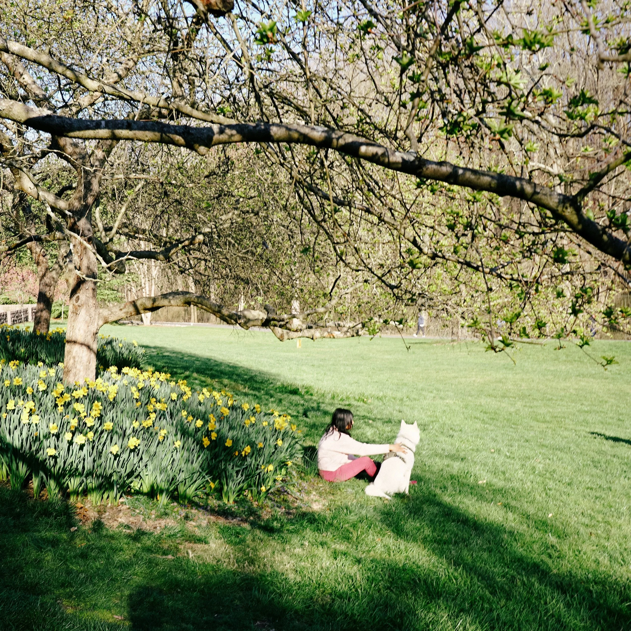 Happy first day of Spring ☀️🌿 What a gorgeous start this year. As the days grow longer everything feels more abundant, and gardens respond accordingly. In the weeks to come we will watch blooms unfolding beautifully. Our blog post is a welcome remin
