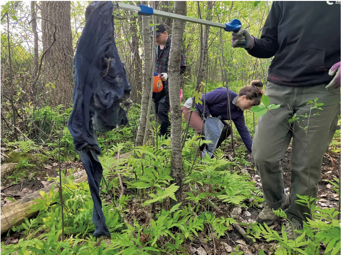 Volunteer BTV featured in Seven Days