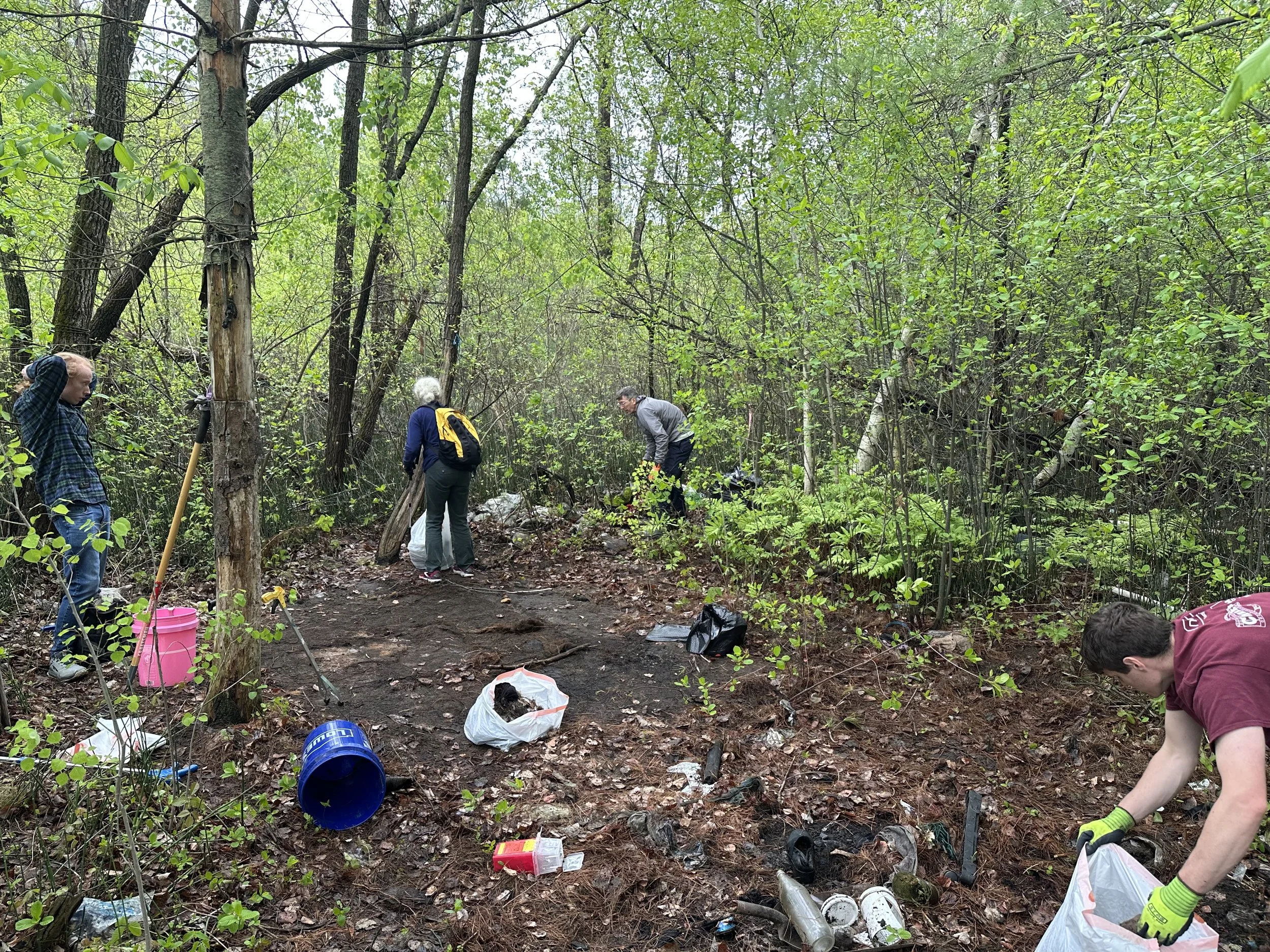 People cleaning trash in a wooded area, collecting litter into bags, with various garbage scattered on the ground.