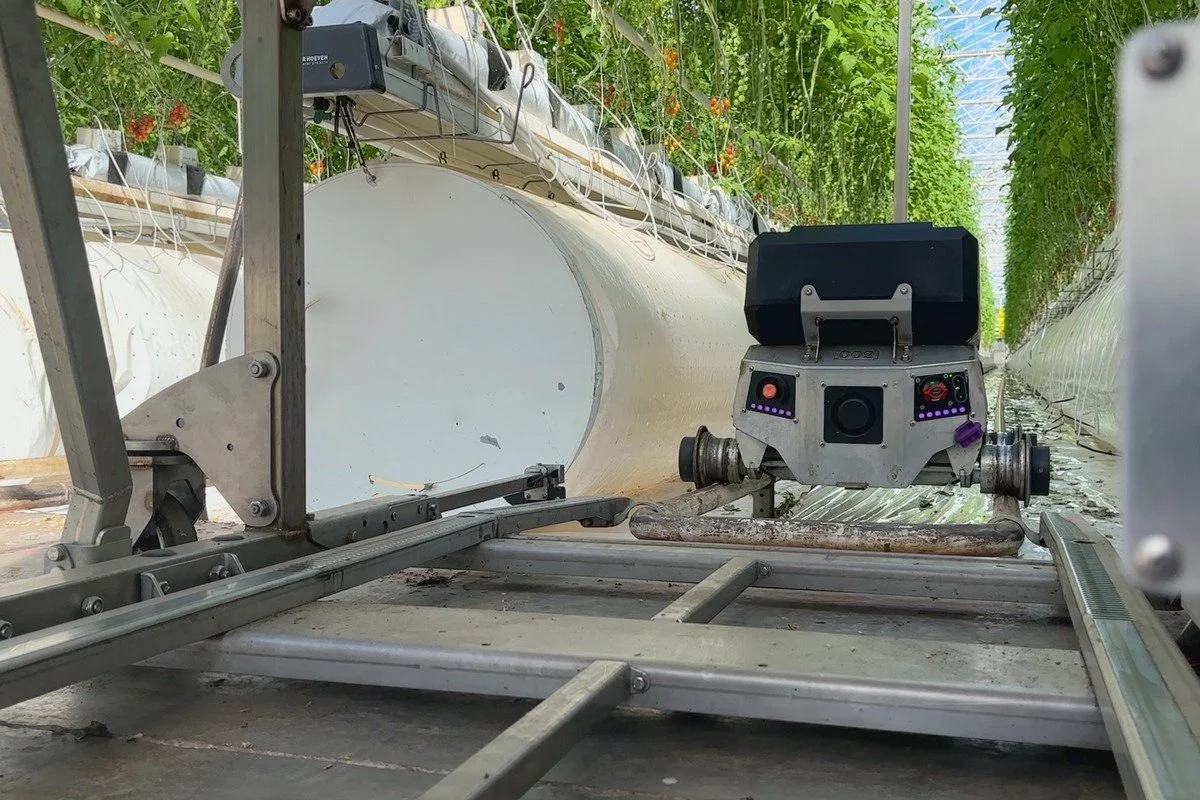 An image of an FTEK RLAP