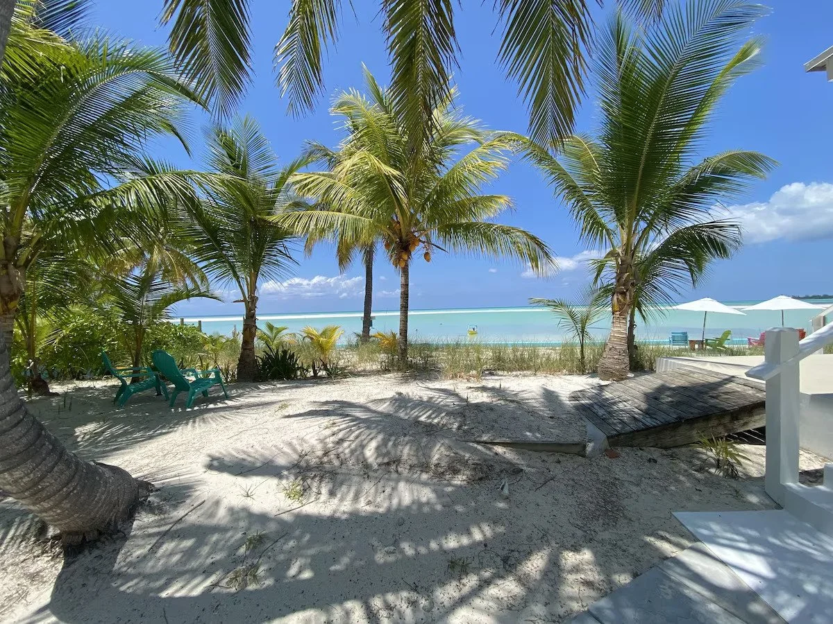 Tropical beach scene with palm trees, white sandy beach, chairs and umbrellas, and turquoise water under a blue sky.