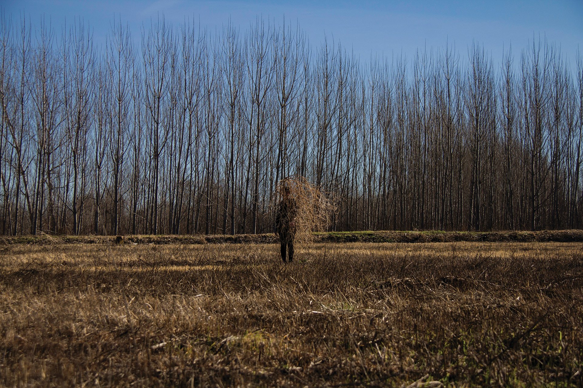 marina_cisneros_obra_web_todos_los_derechos_reservados (5).jpg