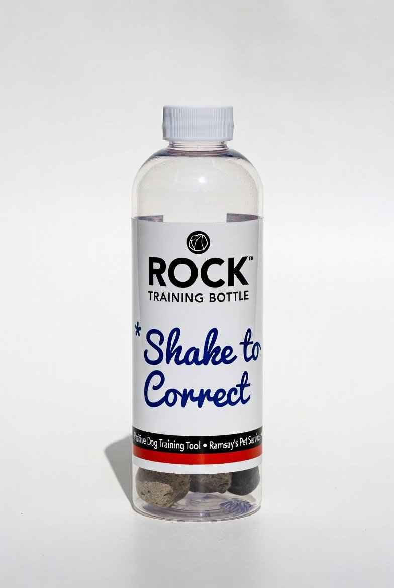 training bottle prototype 1.jpeg