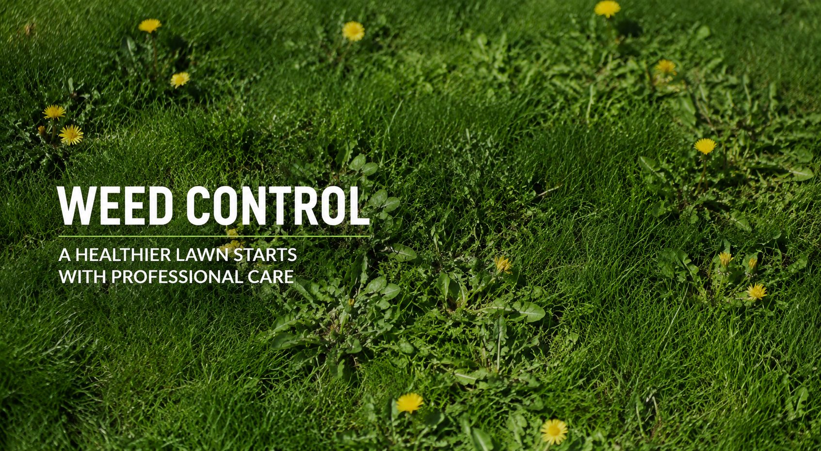 weed control shawnee ks