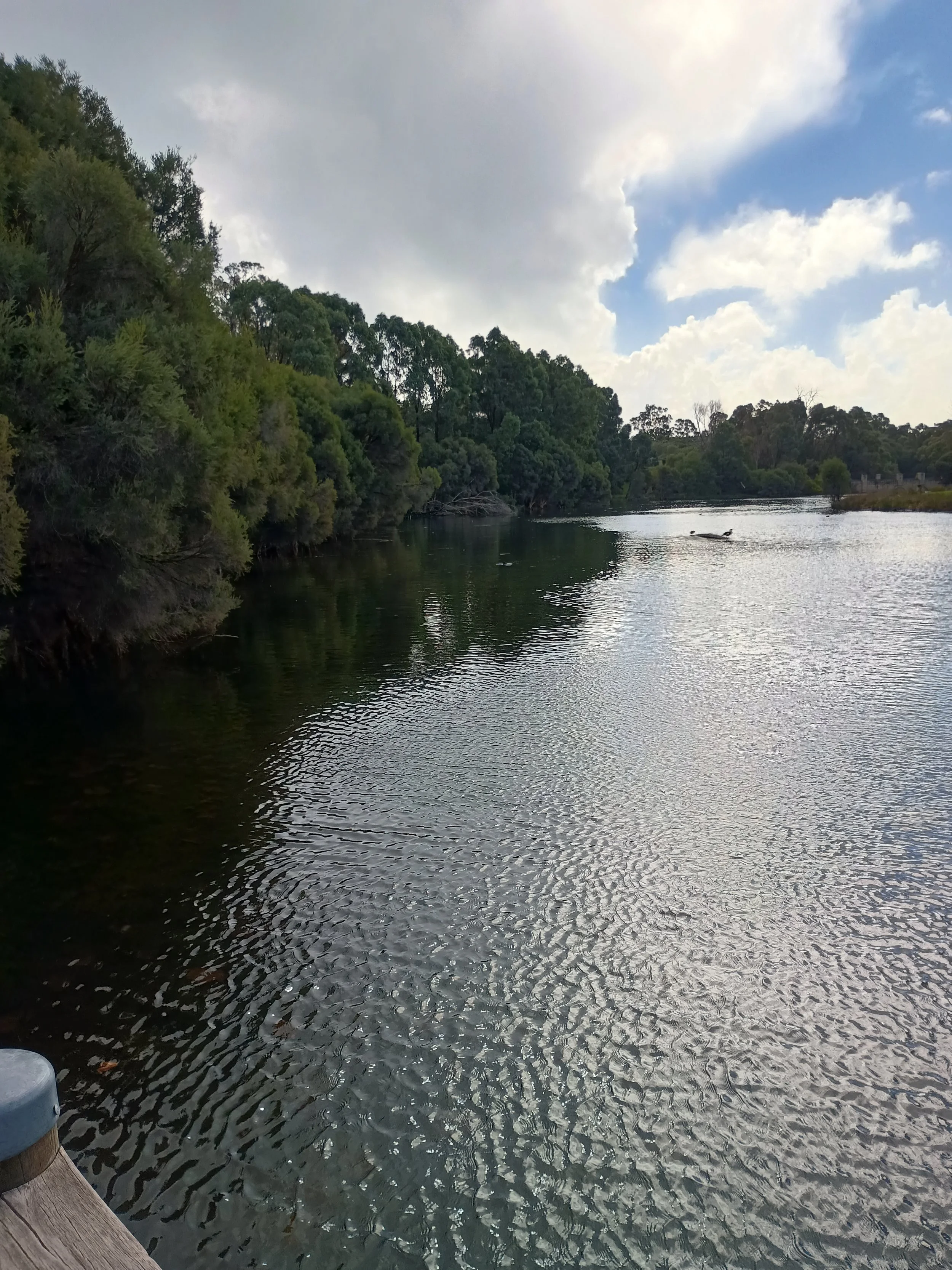 A river with calm water, surrounded by dense green trees on the left and distant trees on the right, under a partly cloudy sky.