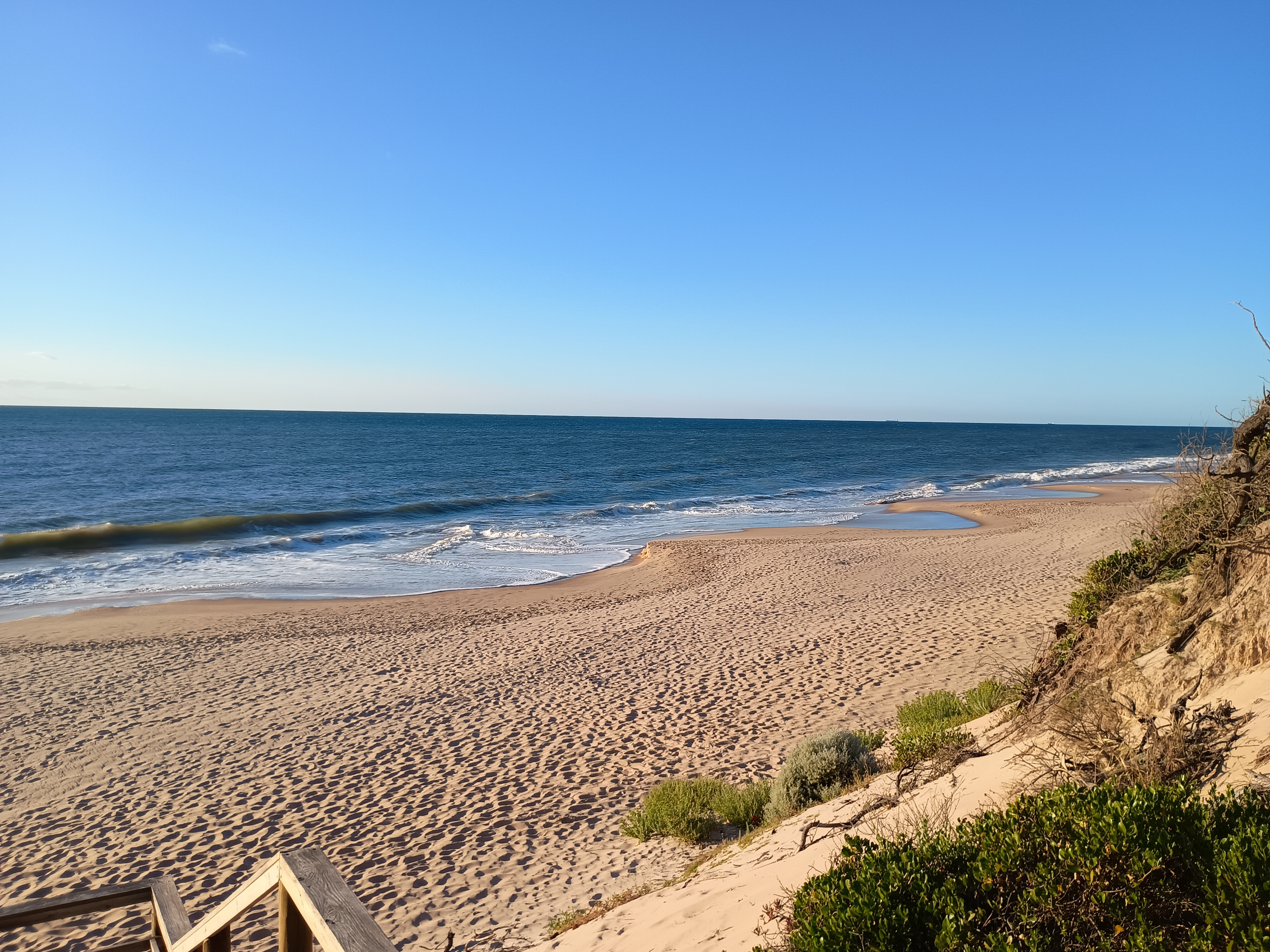 A sandy beach with small waves and clear blue sky, some green bushes and a driftwood piece are visible on the right side.