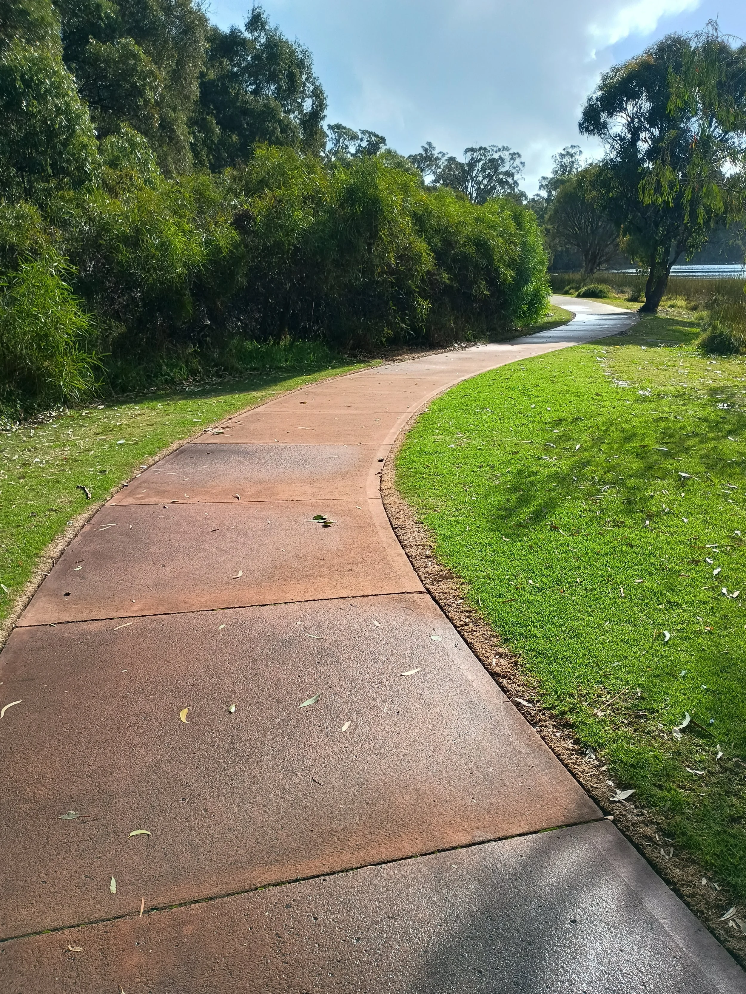 A winding paved pathway runs through a grassy area with lush trees on the side, near a body of water in the distance, under a partly cloudy sky.