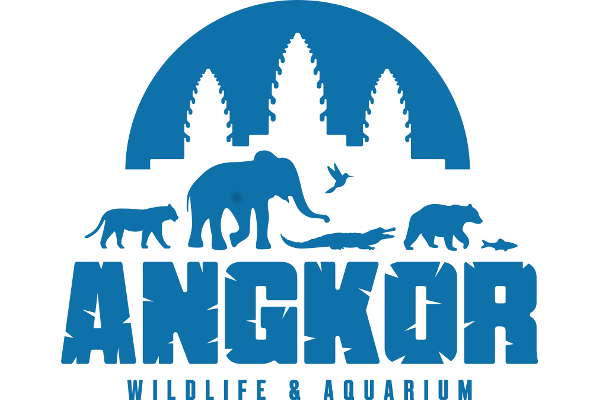 Logo for Angkor Wildlife & Aquarium featuring silhouettes of elephants, a bird, and aquatic animals against a backdrop of trees.