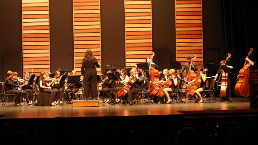 An orchestra of young musicians performing on stage with a conductor in front, playing instruments including violins, cellos, and double basses.