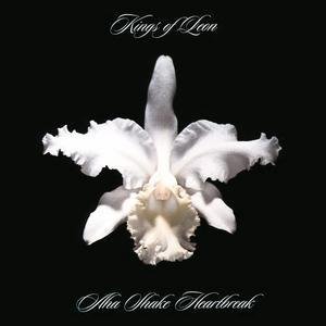 Kings of Leon - Aha Shake Heartbreak (2004)
