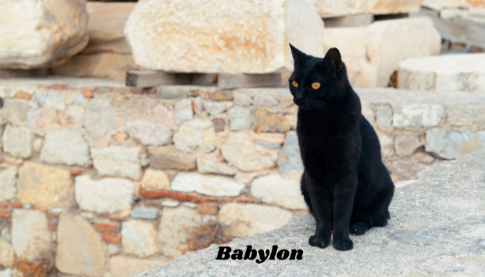 Names inspired by ancient civilizations.