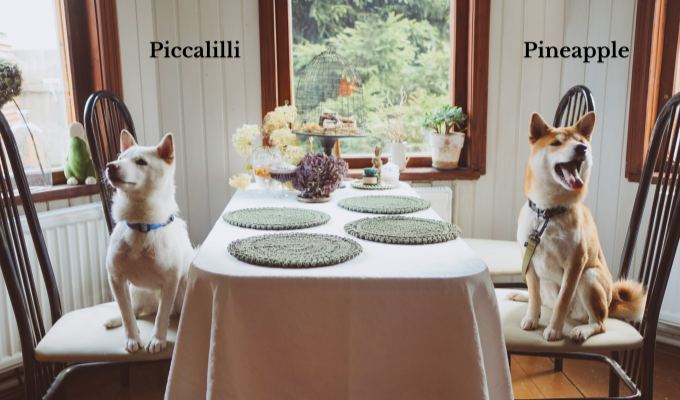 Food-inspired names for dogs and cats.
