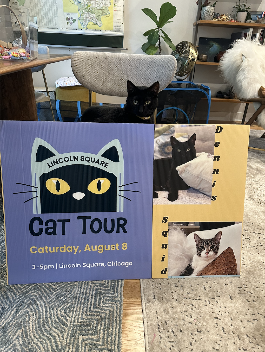 A cat tour host prepares for the day