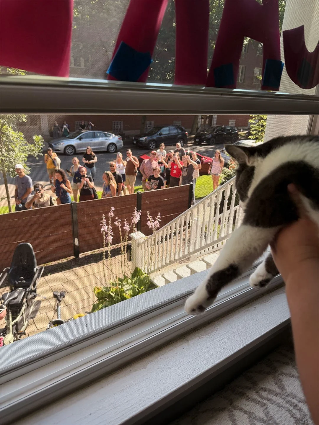 The crowd cheering on Carl