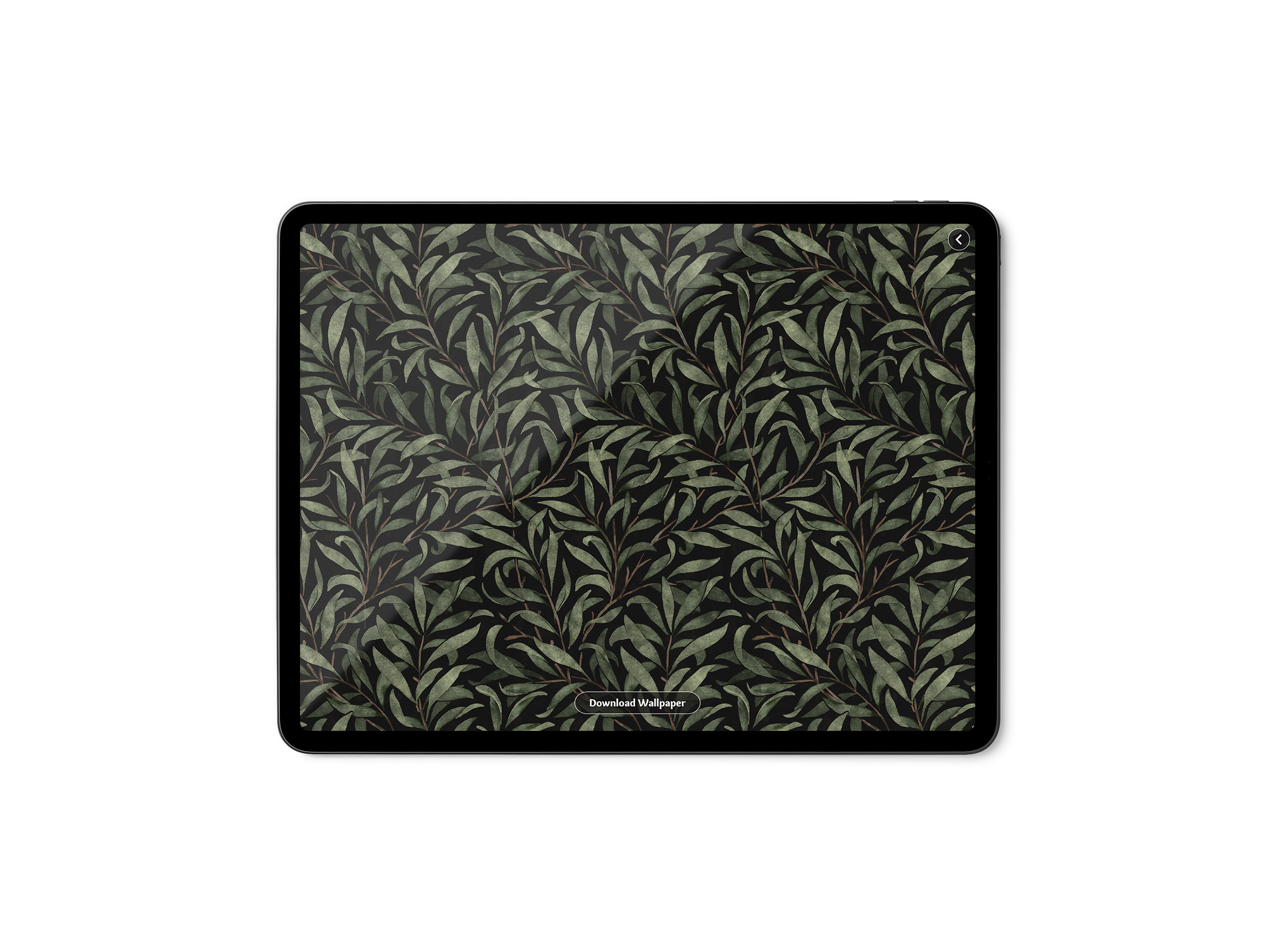 Tablet displaying a dark green leafy wallpaper based on William Morris' Willow Boughs with a 'Download Wallpaper' button at the bottom.
