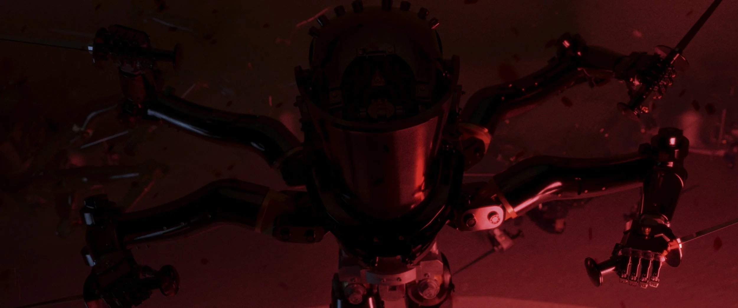 Tian-BVR-13.jpg