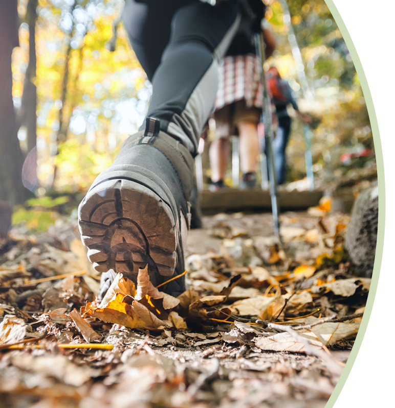 Close-up of a hiker's boot stepping on fallen leaves on a forest trail, with other hikers in the background on a wooden bridge during autumn.