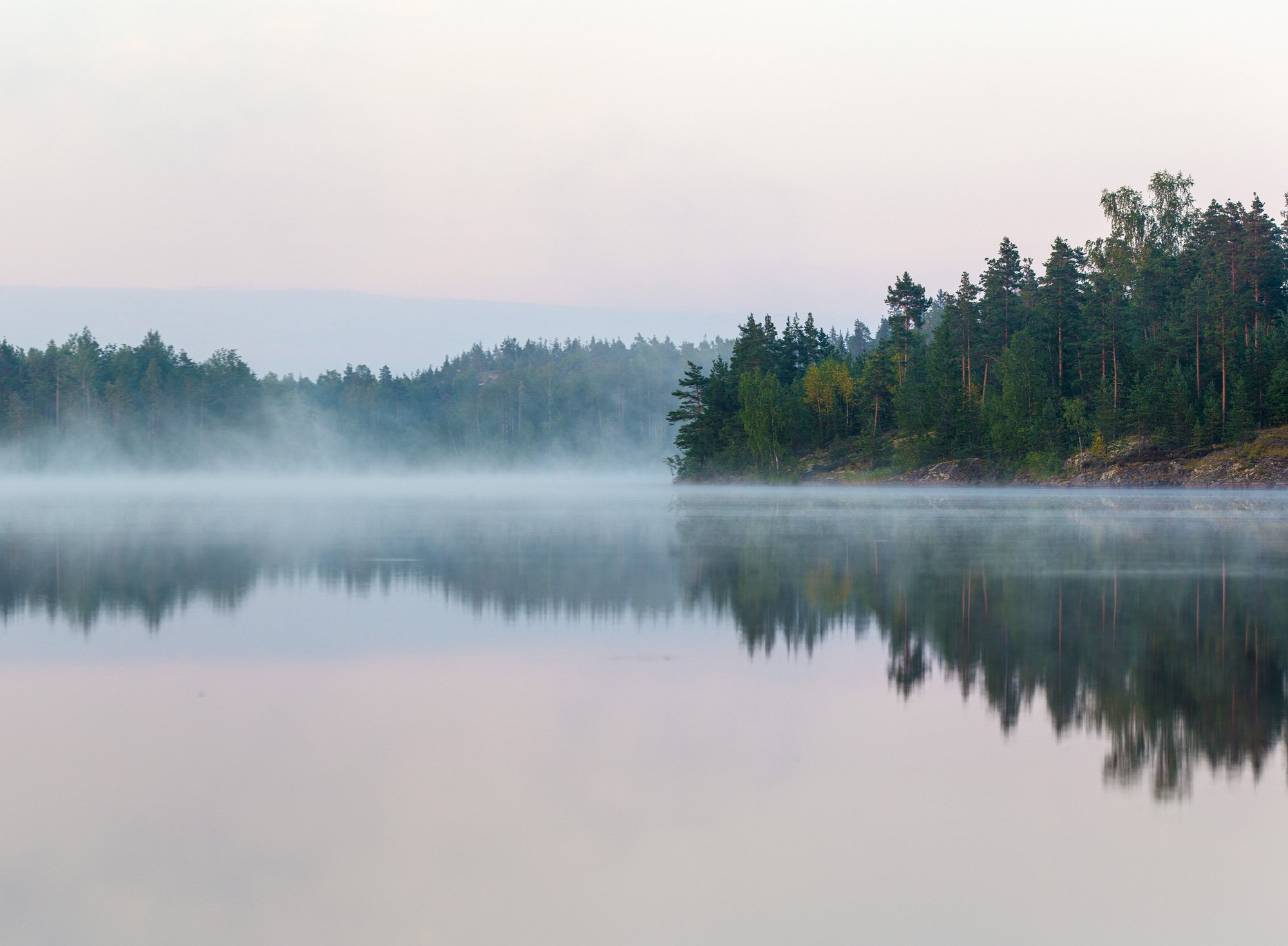 A lake with mist near the shore and a dense forest of trees in the background, under a cloudy sky.