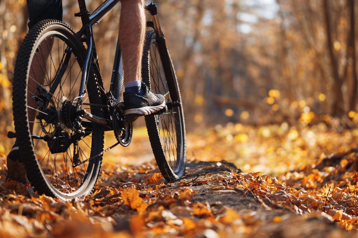 A person riding a black mountain bike on a leaf-covered trail in an autumn forest.