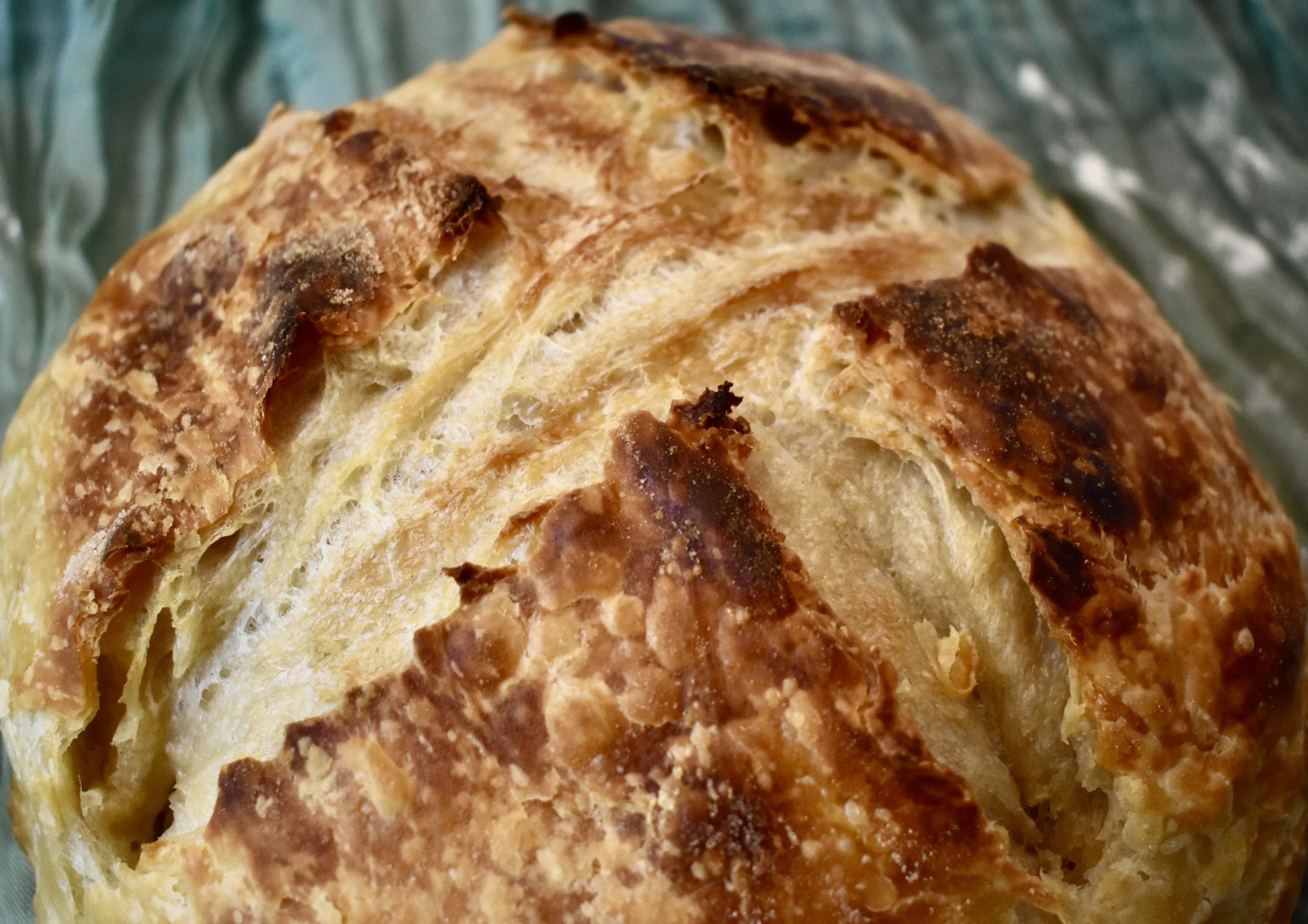 Chrissy Croissant
