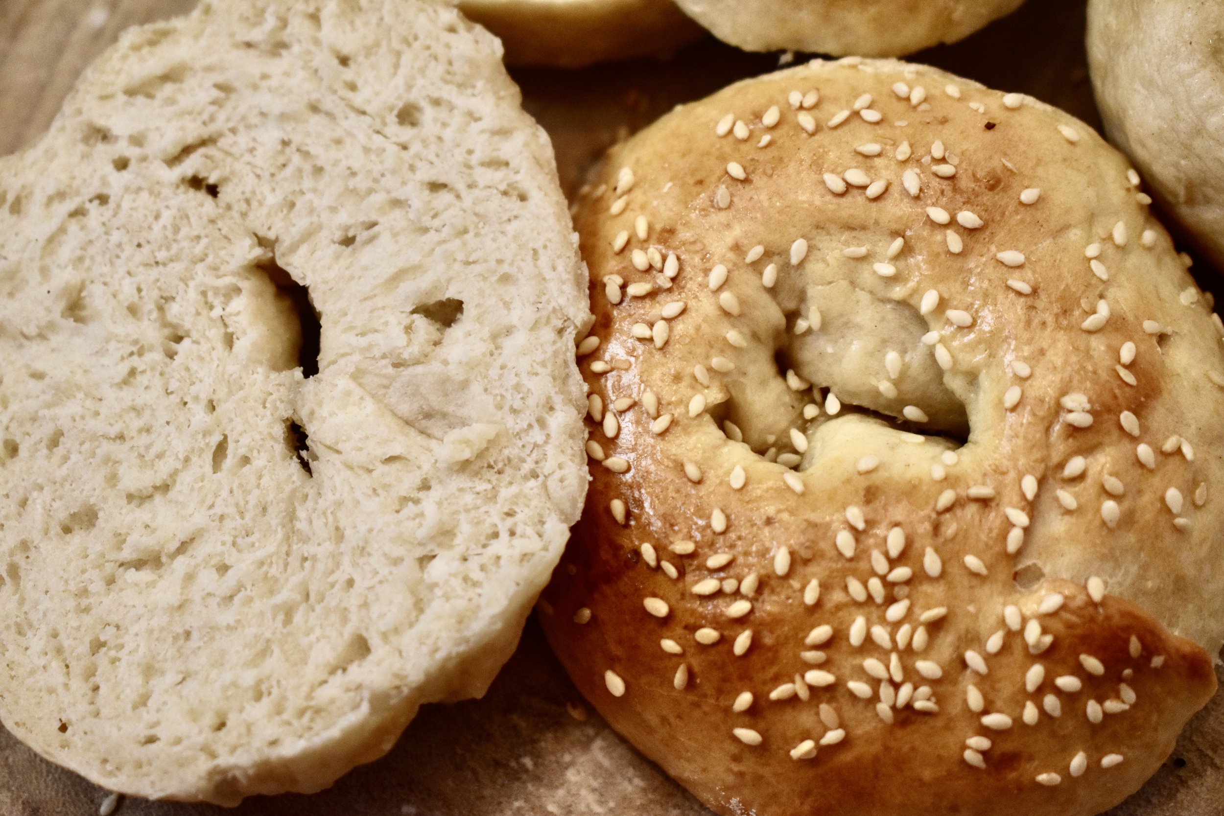 Sally Sesame