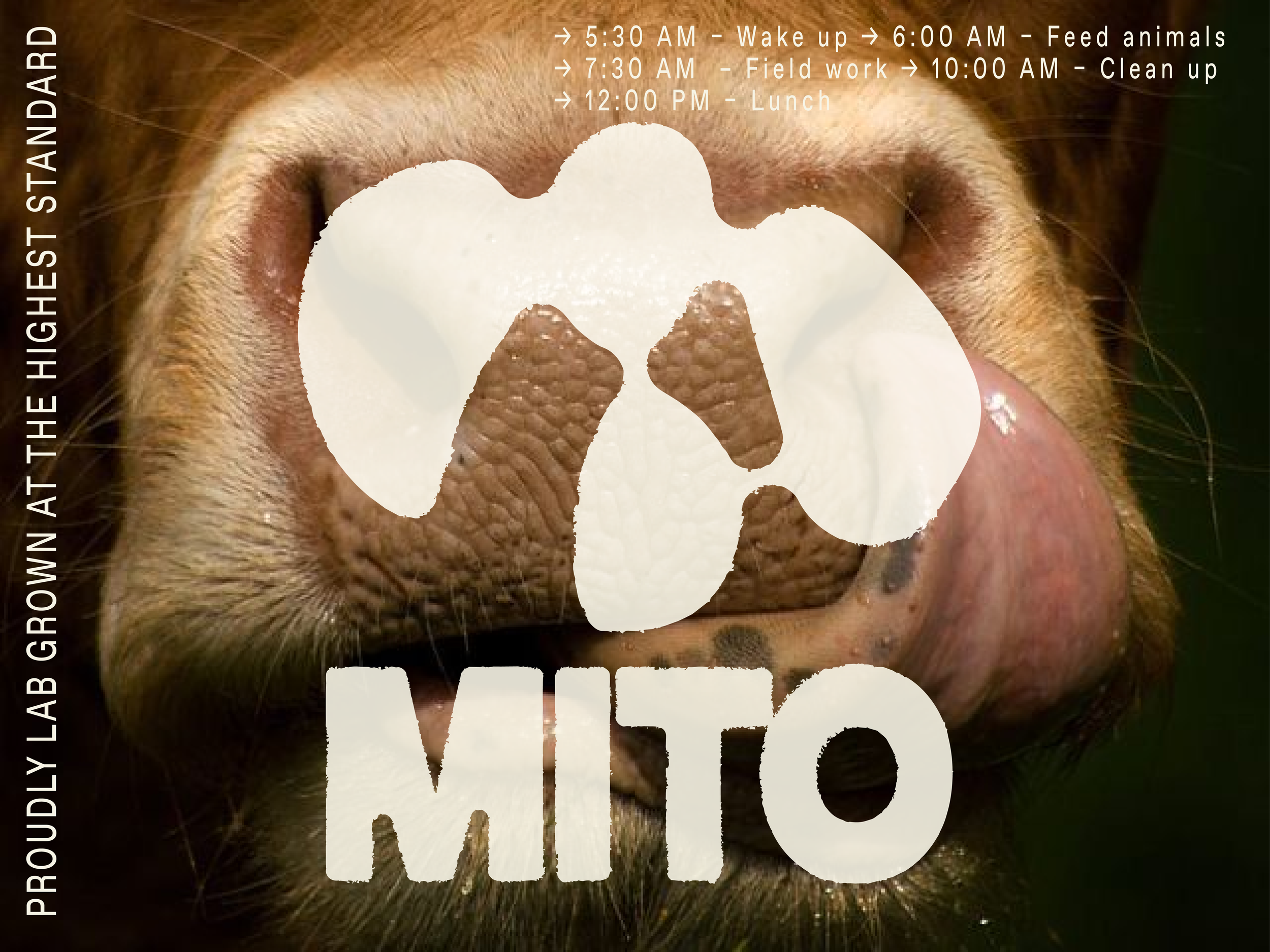mito