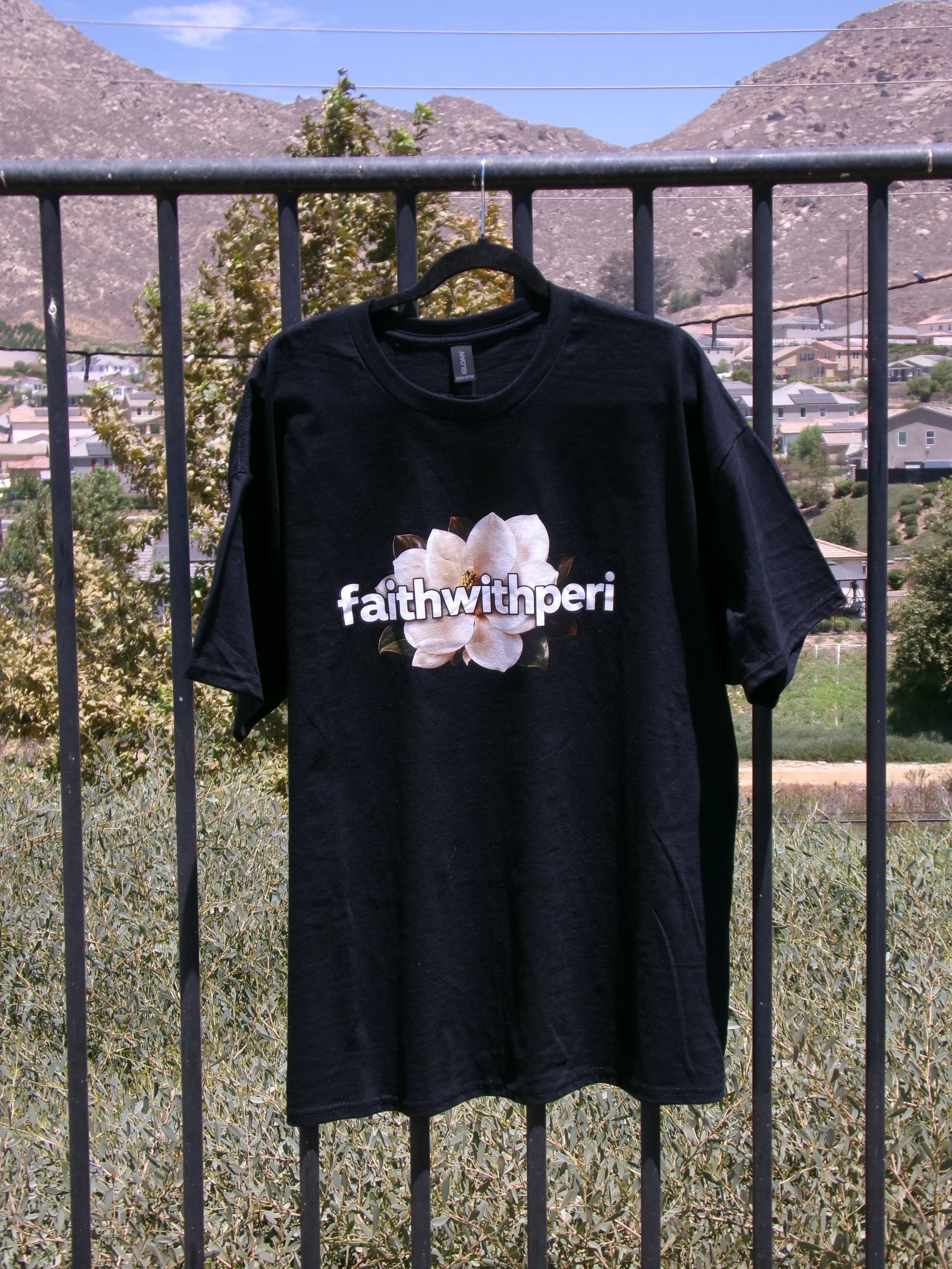 faithwithperi shirt fence.JPG