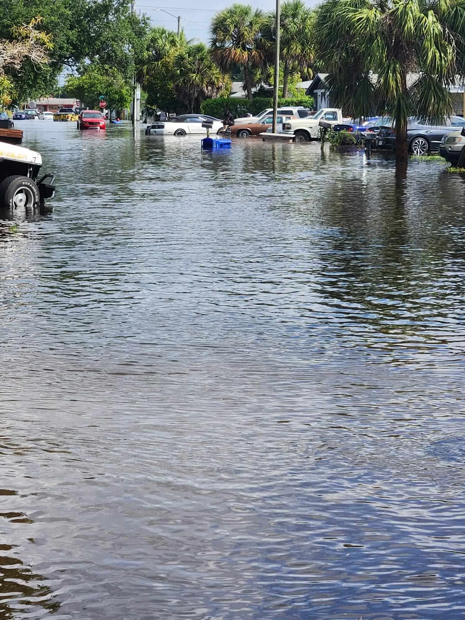 WTF is the Economic Impact of Flooding?