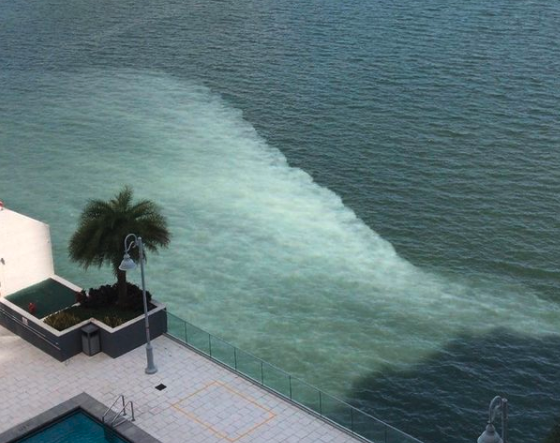 WTF is in That Water?