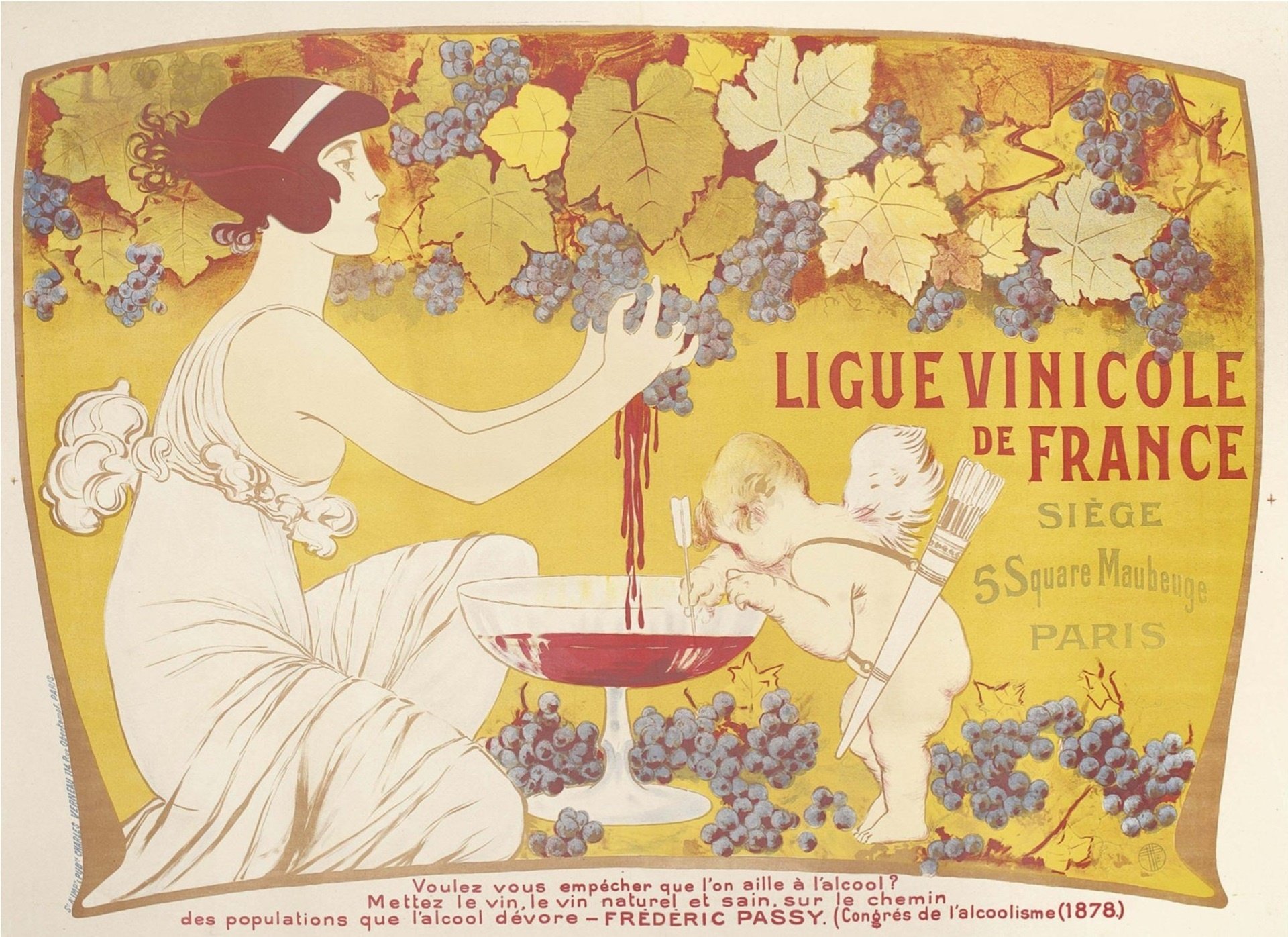 Summertime French Wines