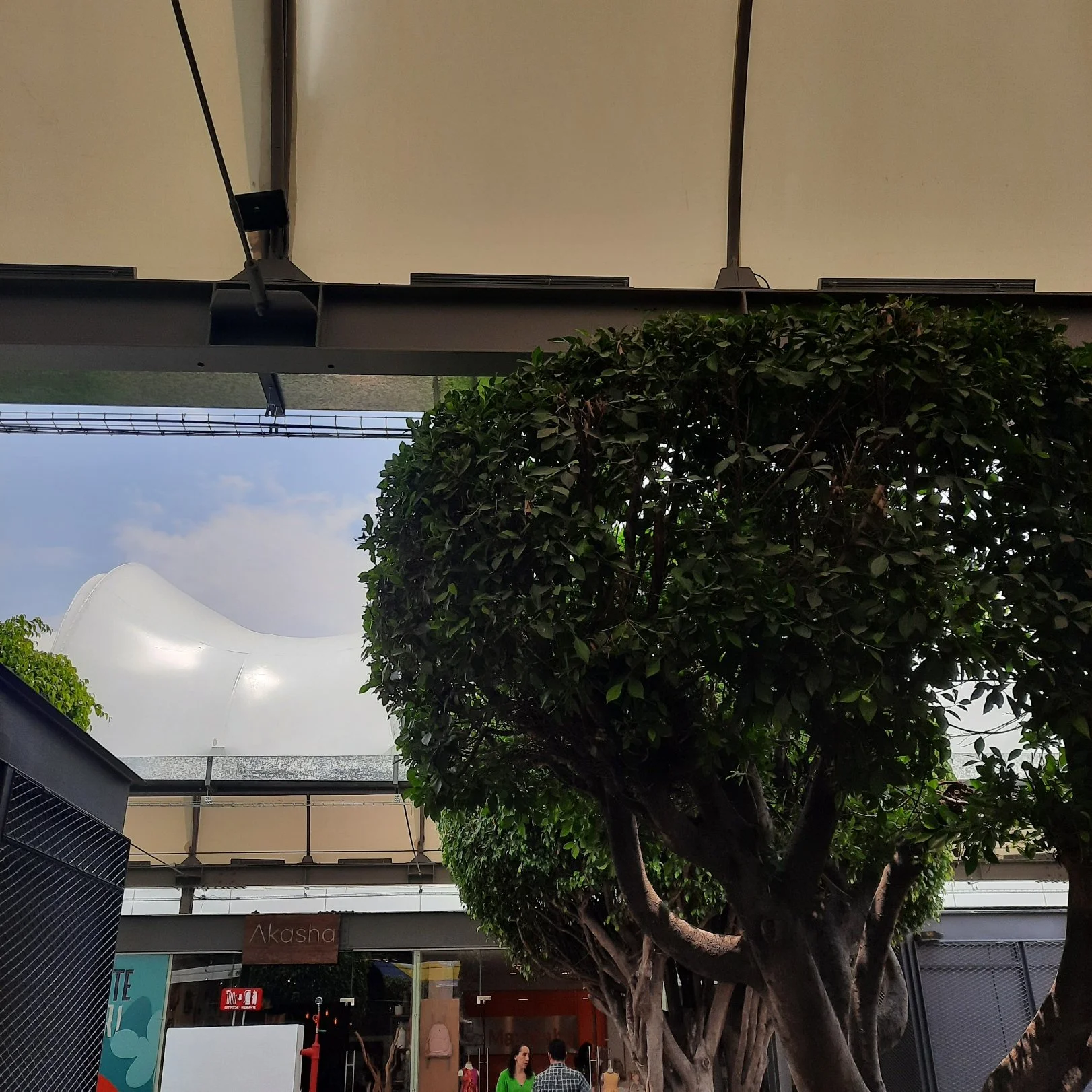Sistema de audio distribuido para música ambiental en plaza comercial Cielo Abierto.