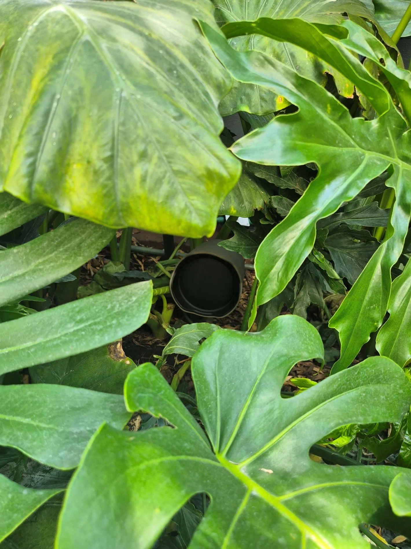 Sistema de sonido ambiental para exteriores