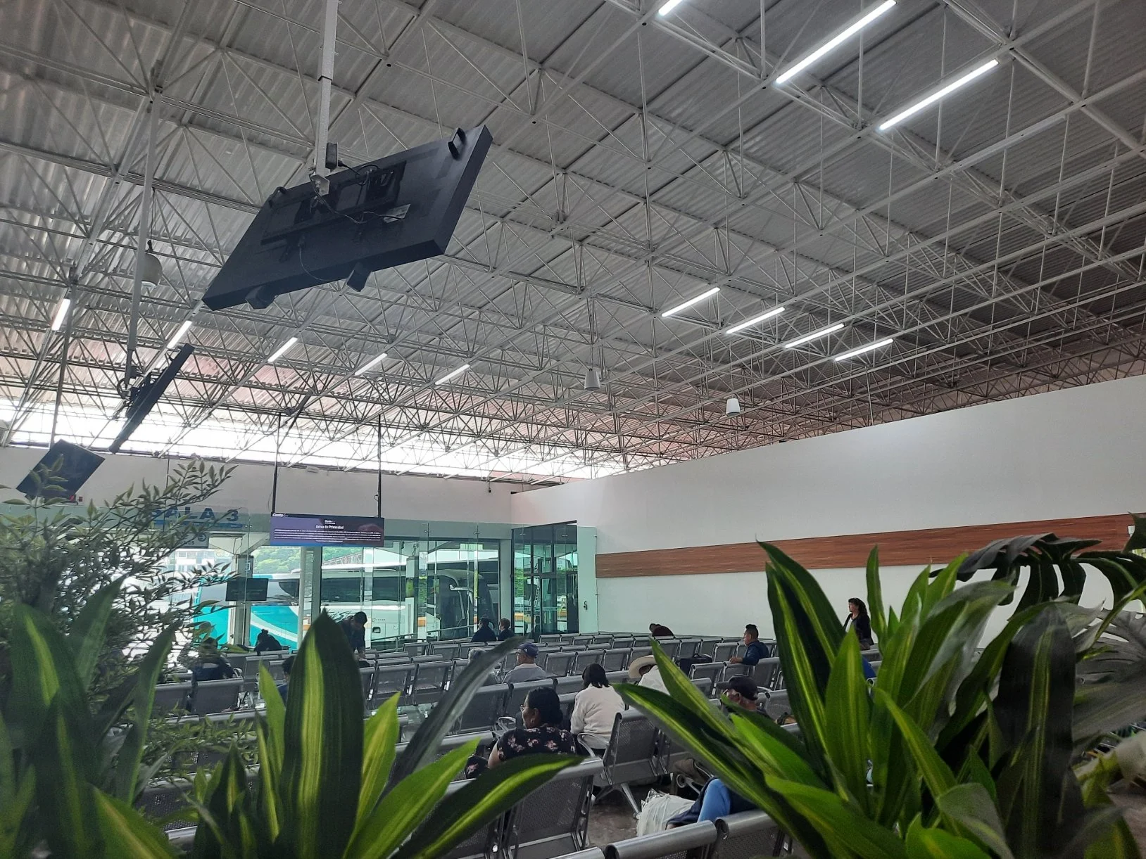 Área de espera en una terminal de autobuses, con sillas, plantas en primer plano, pantallas y ventanas en el fondo, con algunas personas sentadas y esperando en la sala.