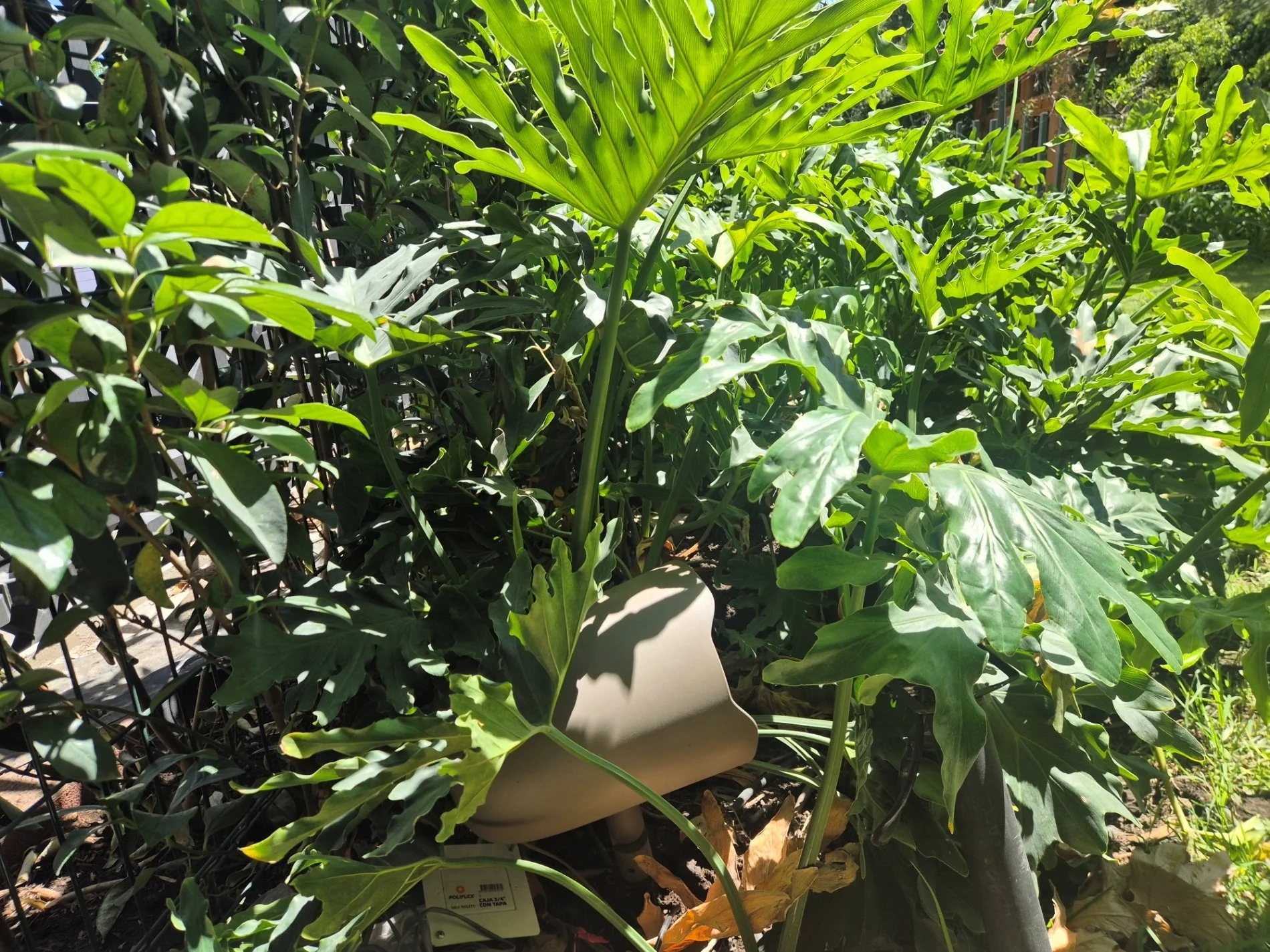 Sistema de sonido para eventos en jardín en residencias.