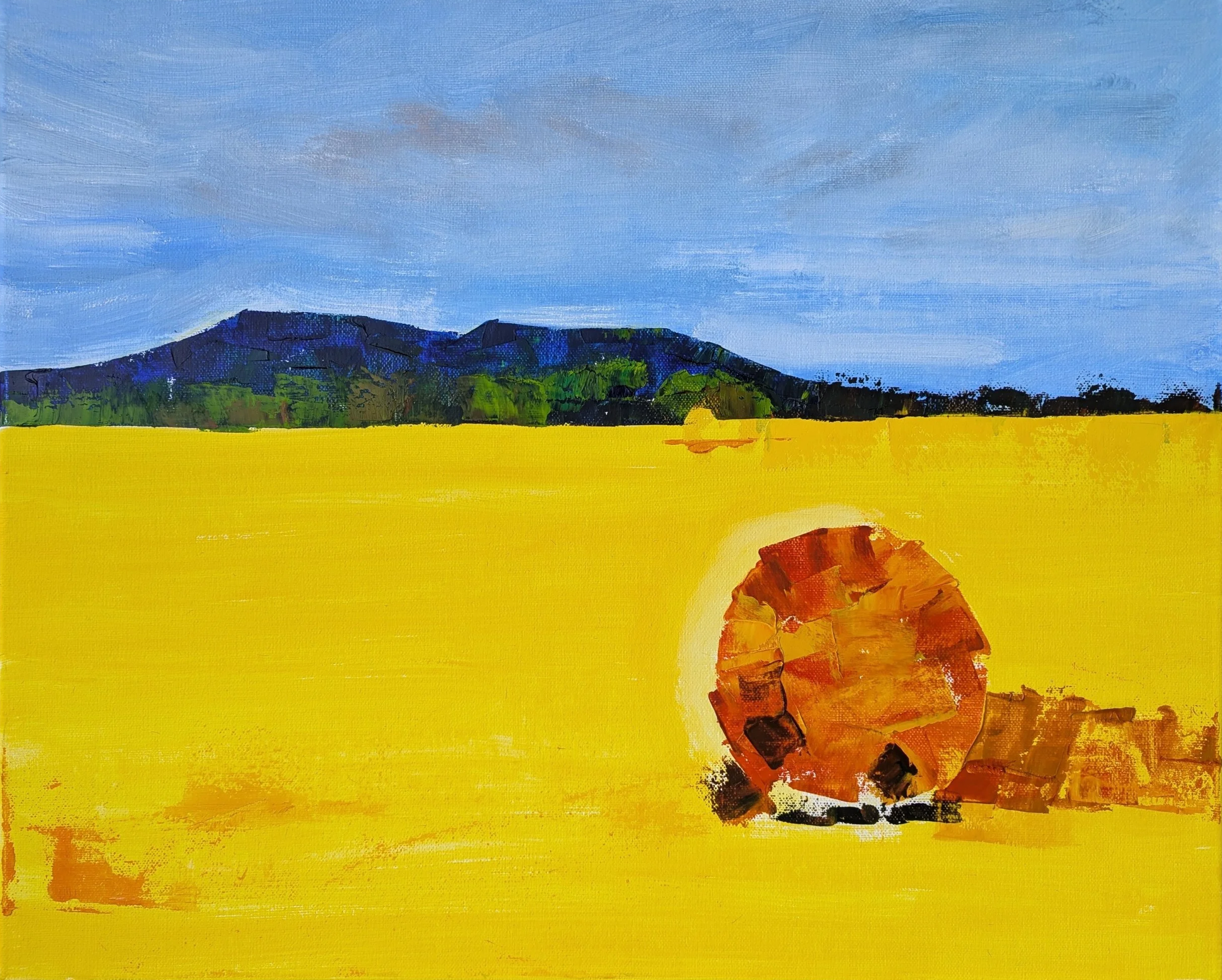 SOLD - Two Hay Bales - £500 -
Oil on canvas - 56cm x 46cm